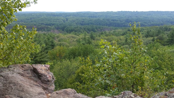 Wells State Park by null