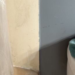 ANTS AGAIN MONTHS AFTER SERVICE STARTED AND MULTIPLE RE-SERVICES