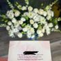 Photo of Elegant Flowers