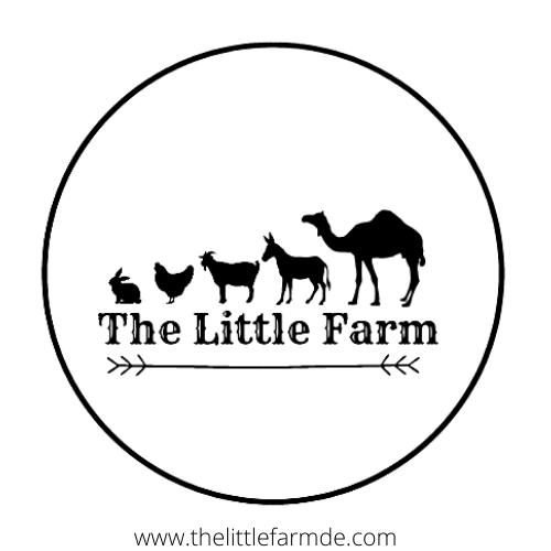THE LITTLE FARM Updated August 2024 4664 Westville Rd, Camden