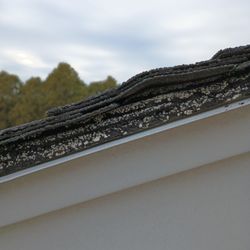 Leading Home Inspections