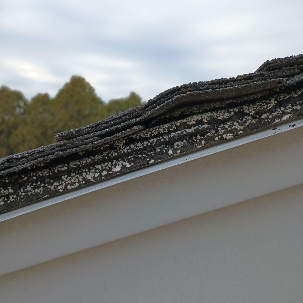 Leading Home Inspections - veterans service organization in West Orange, NJ