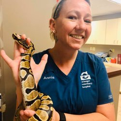 Erlanger Veterinary Hospital