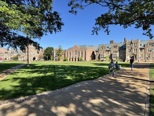 Washington University in St. Louis by null
