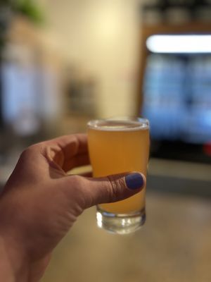 7 Clans Brewing by null