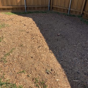 Lorenzo’s Tree Services - Stump grind - Tree Services Near Me Lorenzo’s Tree Services - Stump grind - Tree Services Near Me