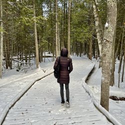 Ridges Sanctuary Nature Center - Me walking down the trail, all casual-like