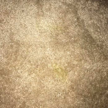 Always Green Clean - Carpet Cleaning Near Me - Rancho Cordova, California Always Green Clean - Carpet Cleaning Near Me - Rancho Cordova, California