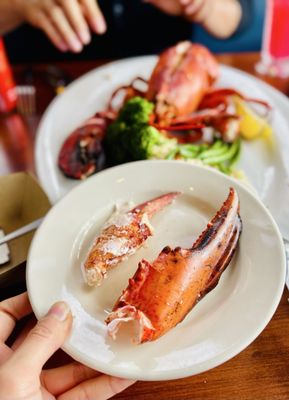 Gladstone's Long Beach by null