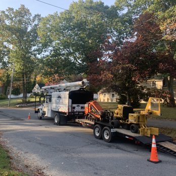 Southeast Arborist - Equipment transport - Tree Services Near Me Southeast Arborist - Equipment transport - Tree Services Near Me