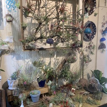 Gardener's Outpost - At the Woodrow St location - Gardeners Near Me - Columbia, South Carolina Gardener's Outpost - At the Woodrow St location - Gardeners Near Me - Columbia, South Carolina