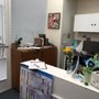 Photo of Dr. Jennifer Lanett, DC - Chiropractic Naturally