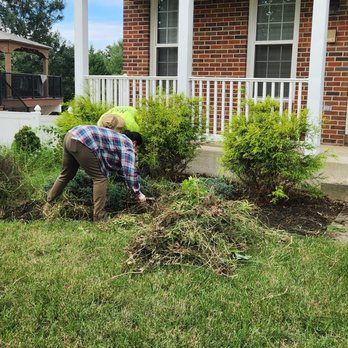 H&E Tree Service & Landscaping - Tree Services Near Me - Silver Spring, Maryland H&E Tree Service & Landscaping - Tree Services Near Me - Silver Spring, Maryland