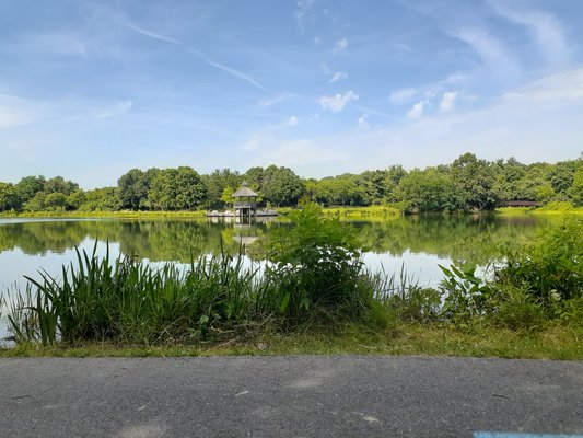 Lake Artemesia Natural Area by null