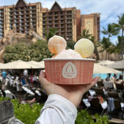 Pāpālua Shave Ice