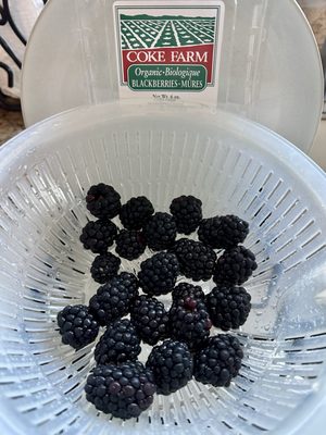 Greenhearts Family Farm Online Farmers Market by null