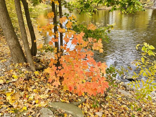 Dexter Cider Mill by null