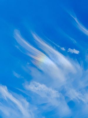 Sail Selina II by null