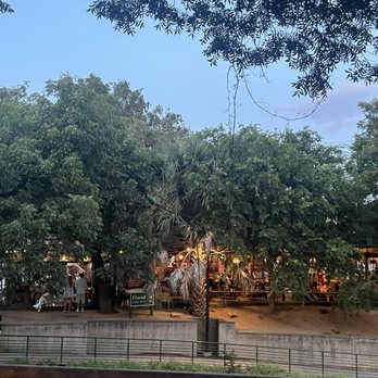 Elsewhere Garden Bar & Kitchen - Exterior view looking in - Wine Bars Near Me - San Antonio, Texas