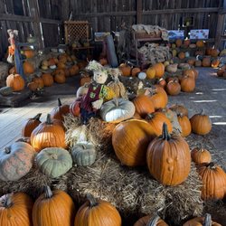 Axdahl's Garden Farm & Greenhouse