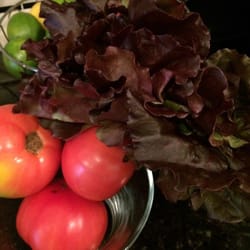 Downtown Farmers' Market - Red leaf lettuce. 1.00