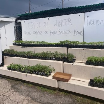 Mae's Market - a row of planters with plants in them - Farmers Market Near Me - Columbus, Ohio