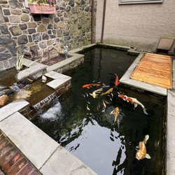 Aquarium Xpress