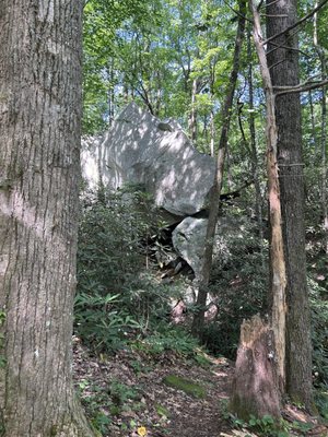 Jones Gap State Park by null