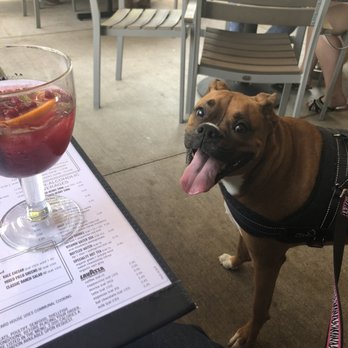 Yard House - New American Near Me - Austin, Texas