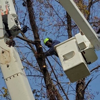4 Seasons Tree Service - Tree Services Near Me - Newburgh, New York 4 Seasons Tree Service - Tree Services Near Me - Newburgh, New York