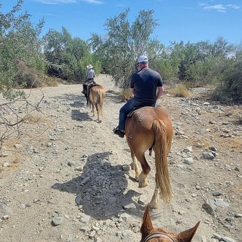 Ponderosa Stables - Horseback Riding Near Me - Phoenix, Arizona
