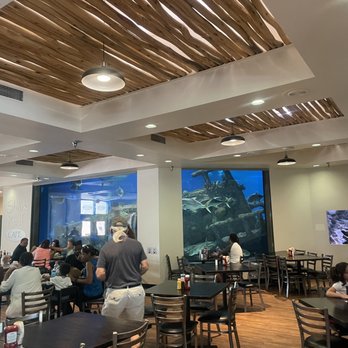 Shark Reef Cafe - a large fish tank in the middle of the restaurant - Burgers Near Me - Albuquerque, New Mexico