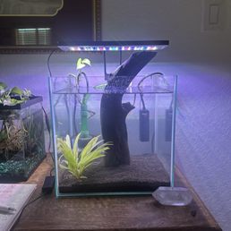 New 6Gallon nano cube. New 6Gallon nano cube.