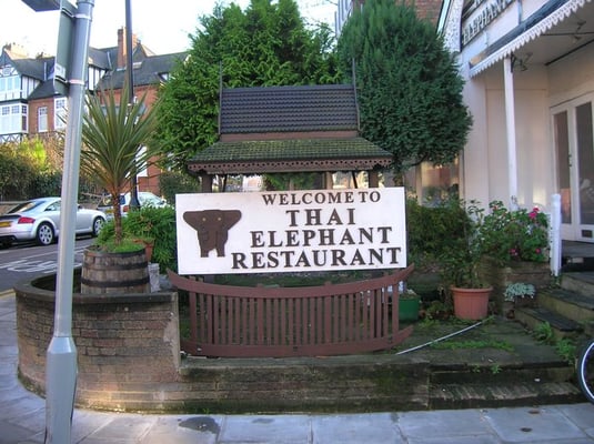 Thai Elephant Richmond by null