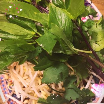 Tau Bay - Mint, bean sprouts, cilantro cabbage etc for pho soup - Vietnamese Near Me - Houston, Texas Tau Bay - Mint, bean sprouts, cilantro cabbage etc for pho soup - Vietnamese Near Me - Houston, Texas