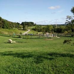 Franklin Dog Park
