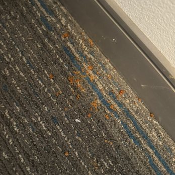 Hampton Inn Norton - Crumbs in the floor. I asked them to vacuum my room and they did not. - Hotels Near Me - Norton, Virginia