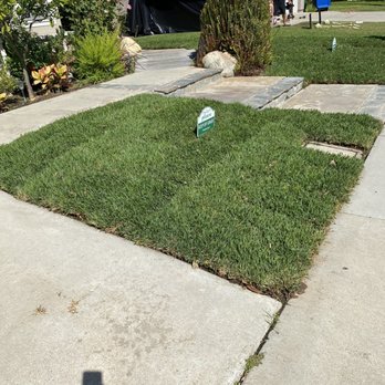 Nicanor Landscape - After two weeks pic. - Landscaping Near Me Nicanor Landscape - After two weeks pic. - Landscaping Near Me