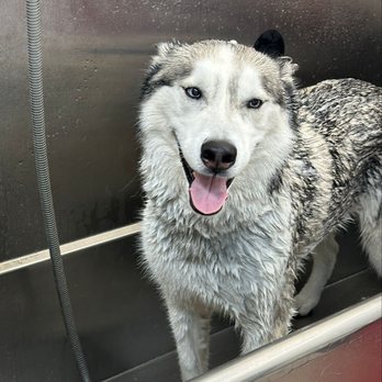 Hollywood Feed - Pet Stores Near Me - Hudson, Ohio