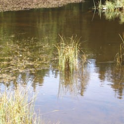 Lago Negro