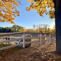 Equi Evolution - Fall at the farm