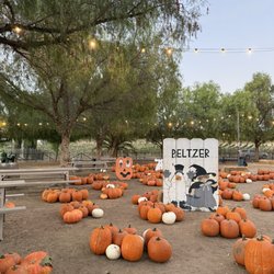 Peltzer Pumpkin Farm