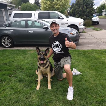 Steam Team - Carpet Cleaning Near Me - Gresham, Oregon Steam Team - Carpet Cleaning Near Me - Gresham, Oregon