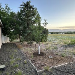 Seufer Tree Farm - So happy!