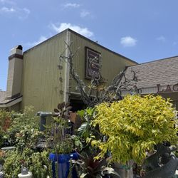 Laguna Nursery - Great space! If only its customer service was as great.