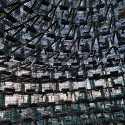 Stonington Lobster Trap Tree