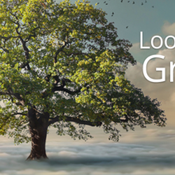 LogoGarden - Look Big. Grow Big.