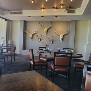 Toro Scottsdale - Decor - Latin American Near Me - Scottsdale, Arizona