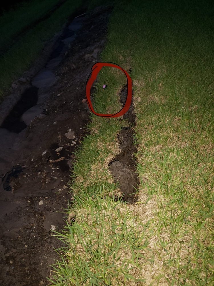 HOMES BY WESTBAY BEXLEY Updated September 2024 4620 Ballantrae