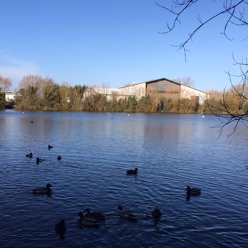 Milton Country Park - One of the lakes at the country park. - Parks Near Me Milton Country Park - One of the lakes at the country park. - Parks Near Me